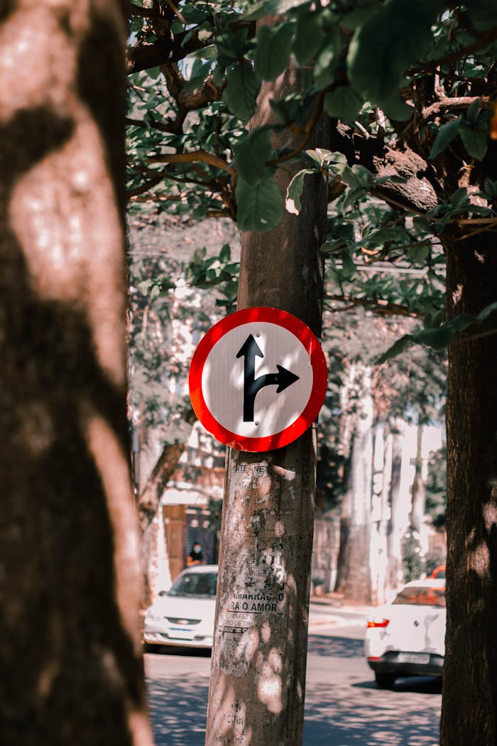 gallery-03 Traffic sign attached to a tree with cars passing by on a city street.